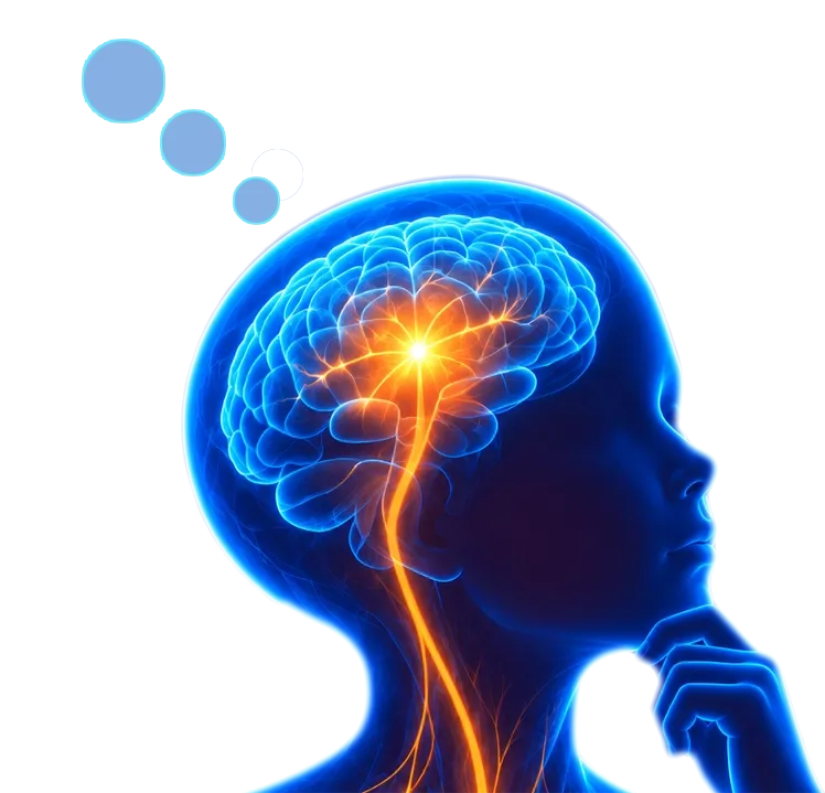  Gros plan de la tête stylisée et de couleur bleue d’un enfant. Une main est appuyée contre le menton. L’enfant a un air pensif. Le cerveau est apparent et comporte une lumière orangée qui descend le long du système nerveux. Il y a trois points au-dessus de la tête indiquant que le personnage réfléchit. 