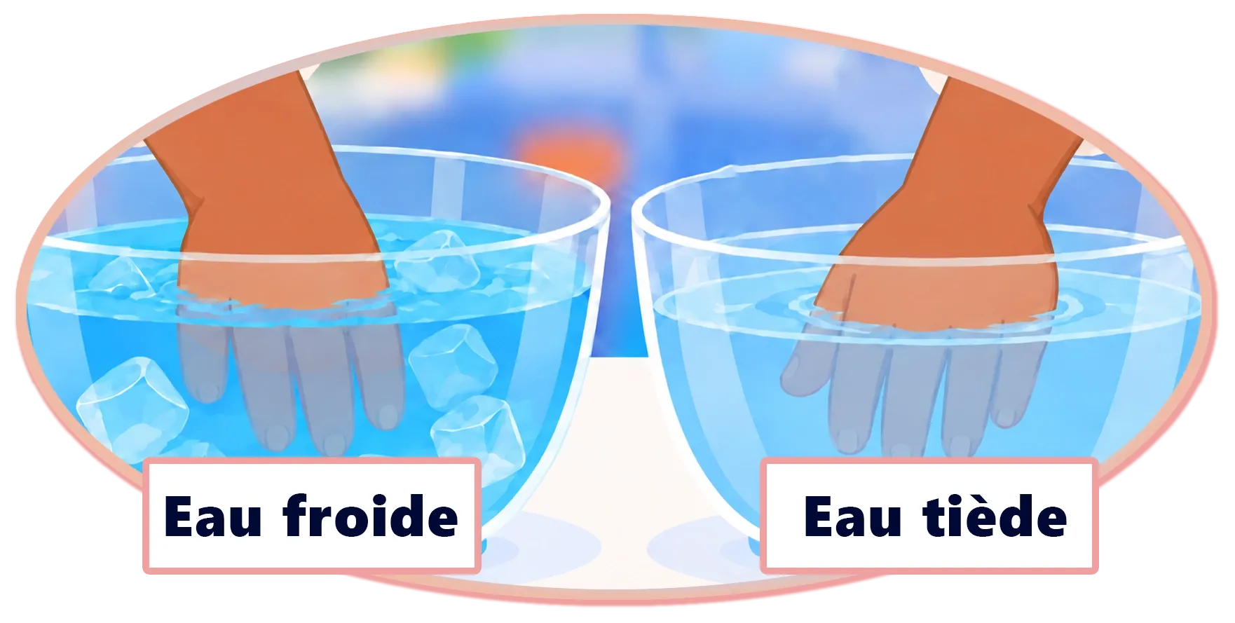 Une main trempe dans un bol d’eau froide contenant des glaçons. Une autre main trempe dans un bol d’eau tiède. Chaque bol est identifié par une étiquette, soit « Eau froide » et « Eau tiède ». 